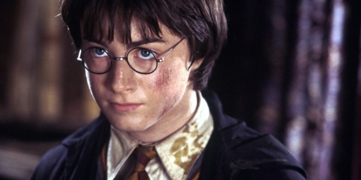 Harry Potter Reboot - Chris Columbus Supports HBO Series