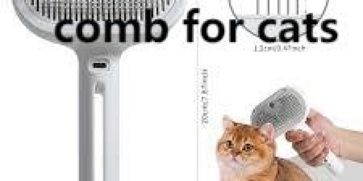 Transforming Your Cat’s Grooming Routine