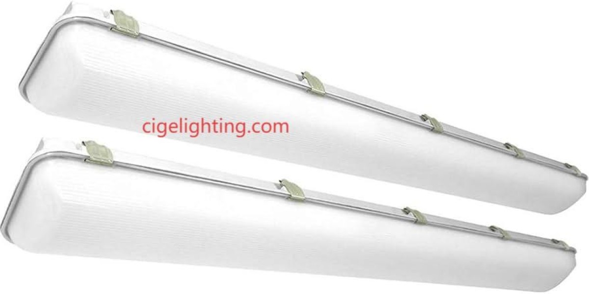 Waterproof Fixture Manufacturer: Mycelial Oracles in the Sanitary Stratum