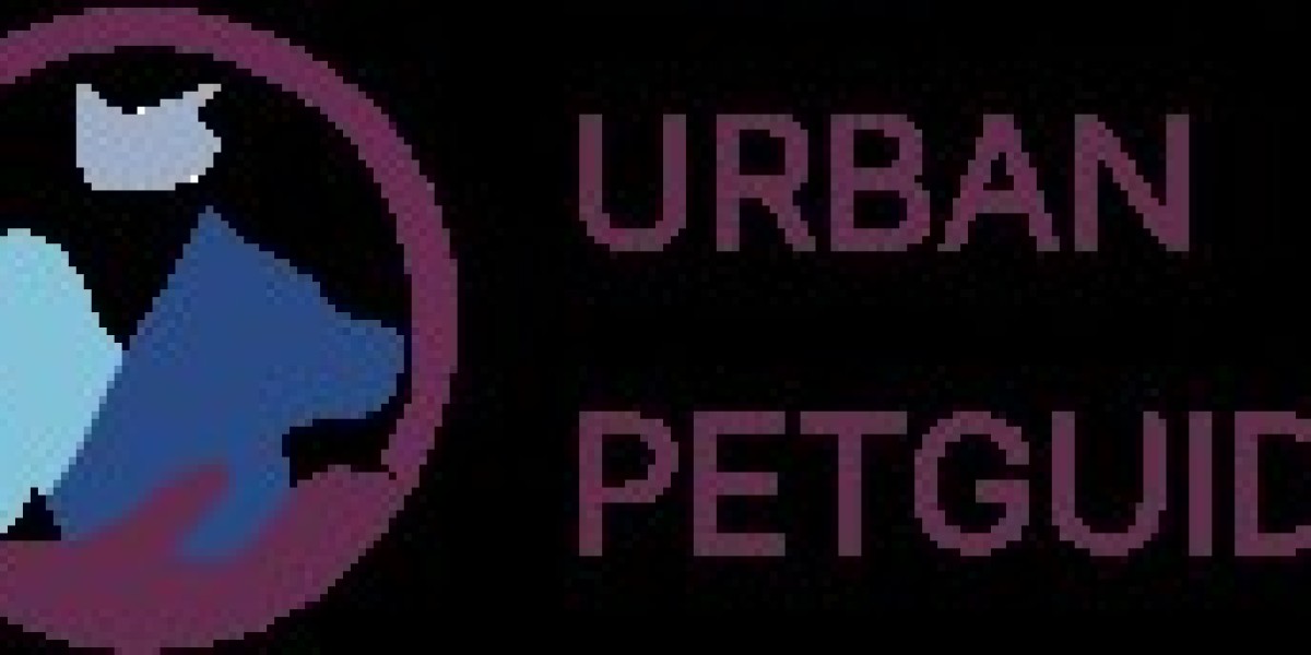 Dog Feeding Guide: What, When, and How Much to Feed