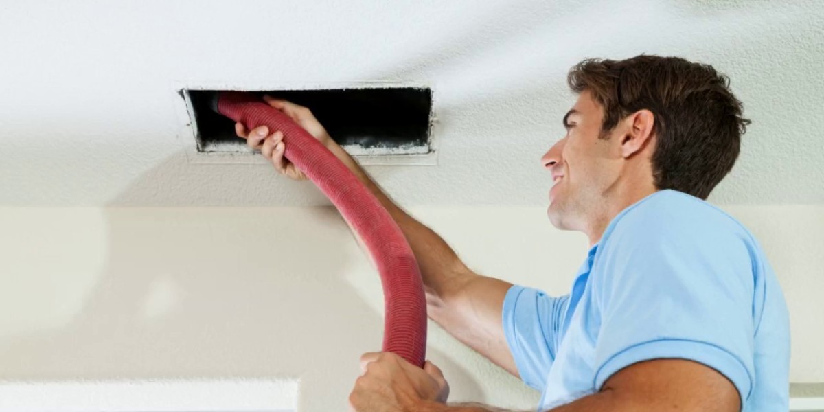 The Complete Guide to Improving Indoor Air Quality in Your Home