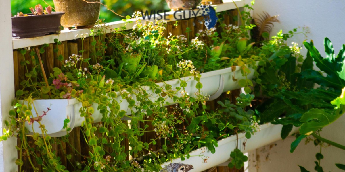 Urban Sustainability Trends Fueling Expansion in Vertical Garden Constructions Market Globally