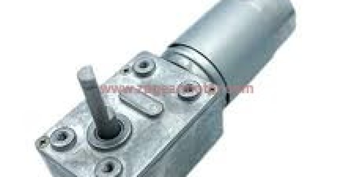 Zpgearmotor by Zhanpeng Reveals Why Food Plants Need IP69K for HighPressure Washdown