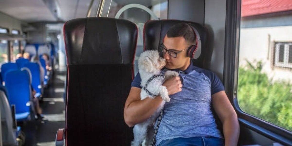 Practical Advice for Managing international pet transport Smoothly