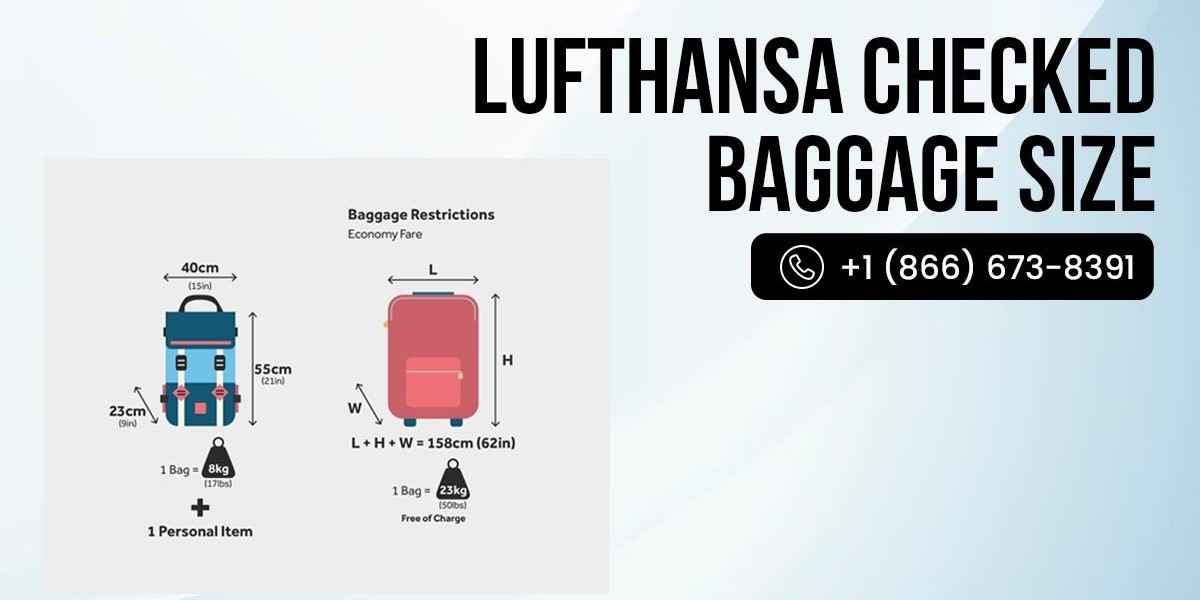What Is the Lufthansa Check-In Policy? Full Rules Every Flyer Needs
