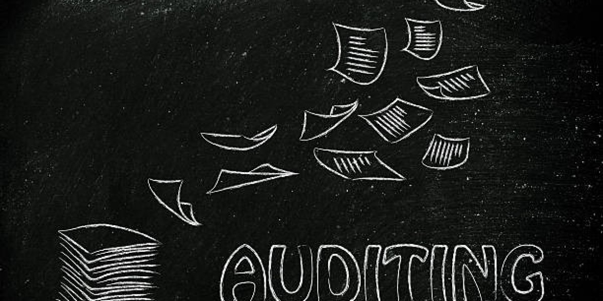 Auditing Dissertation Guide for Academic Success