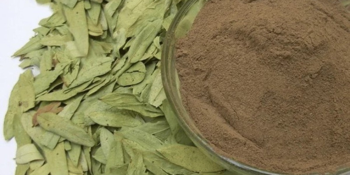 Senna Leaf Extracts Market Size, Trends and Forecast 2026-2035