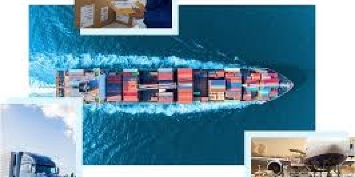Best Customs Compliance Tools in Logistics Industry and FDA Prior Notice: Improving Global Trade Efficiency