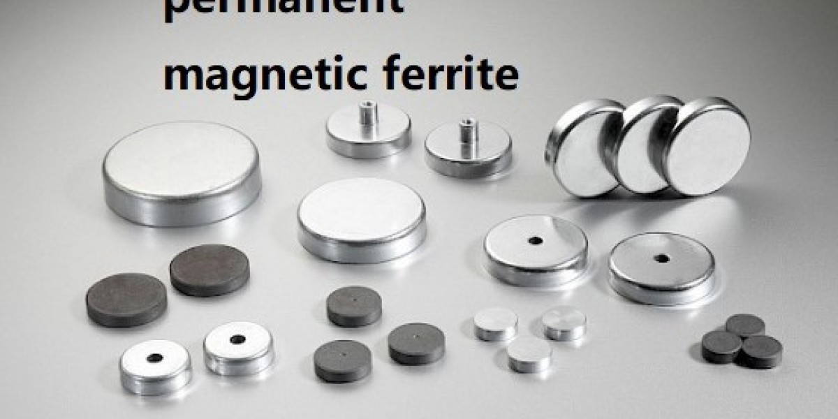 Customized Magnetism Shoe MAGNETICSEGMENT Intelligent Magnetic Footwear Technology Solutions