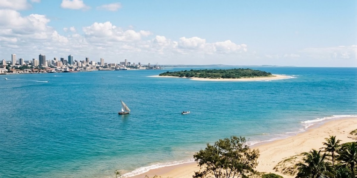 Investor’s Guide to Mozambique eVisa Application Process