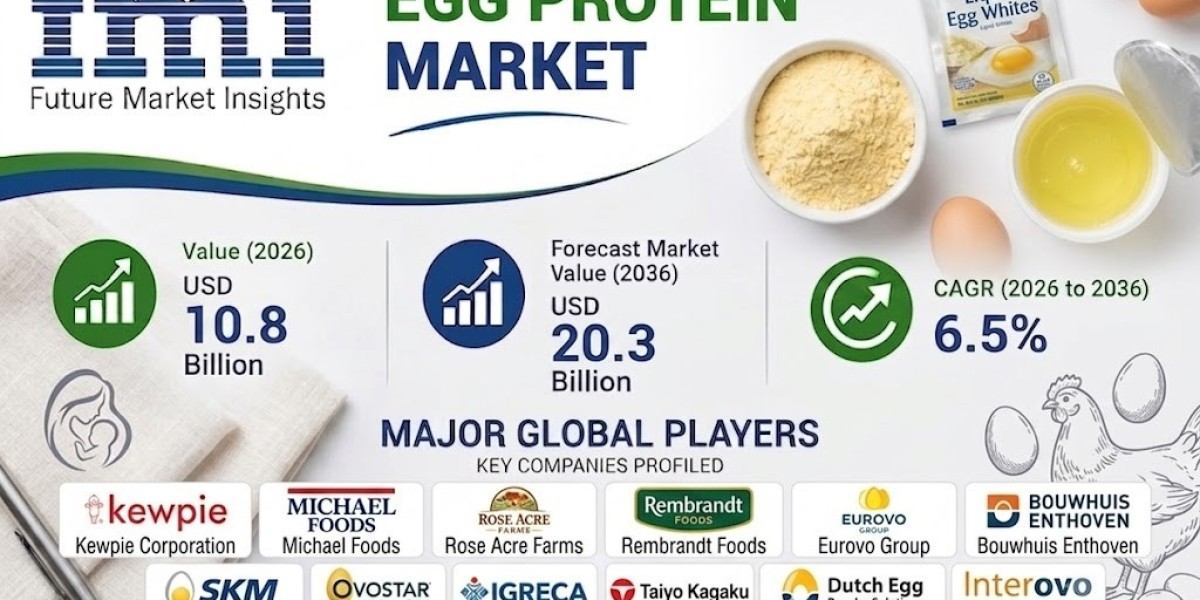 Egg Protein Market Size, Share & Forecast to 2036: Protein Innovation Drives Global Opportunities