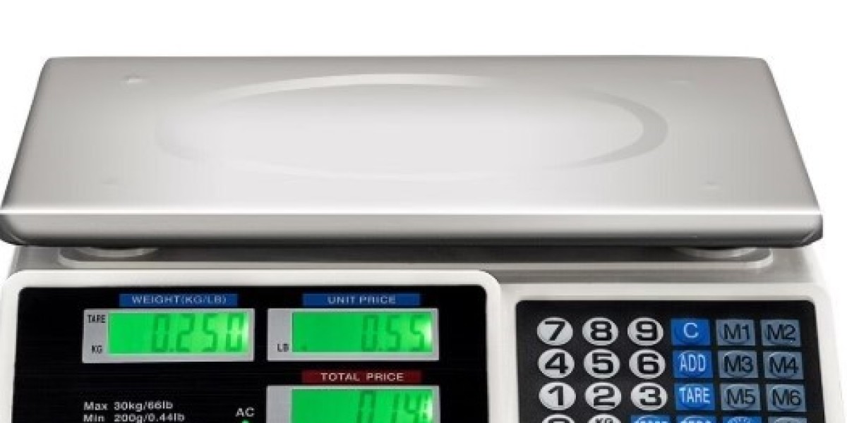 Digital Kitchen Scale CHINAZHENGYA Modern Kitchen Tools Overview