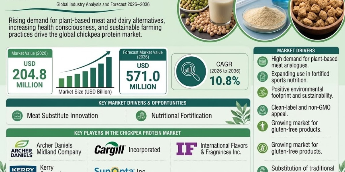 Chickpea Protein Market Trends, Key Insights & Long-Term Outlook by FMI 2036