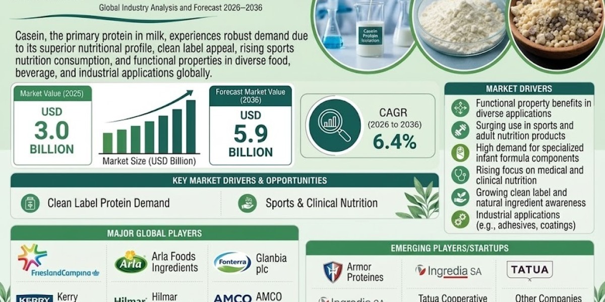 Casein Market Size, Industry Dynamics & Future Growth Forecast 2036