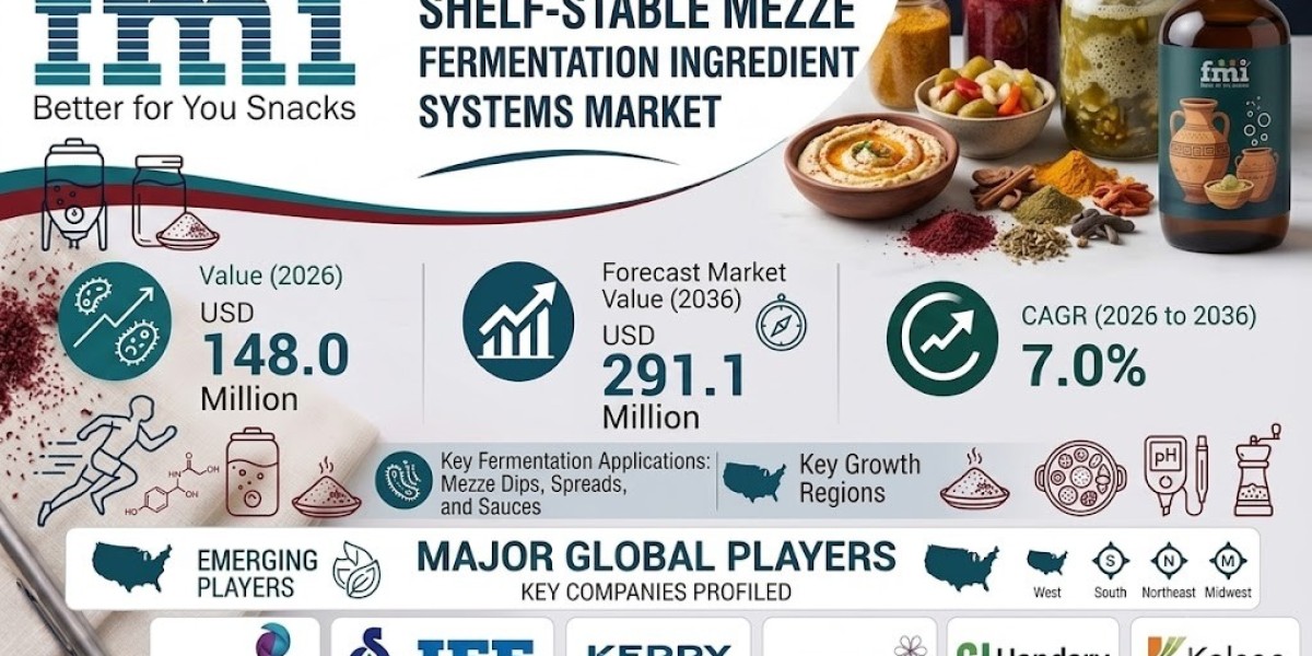 Shelf-Stable Mezze Fermentation Ingredient Systems Industry Analysis 2036