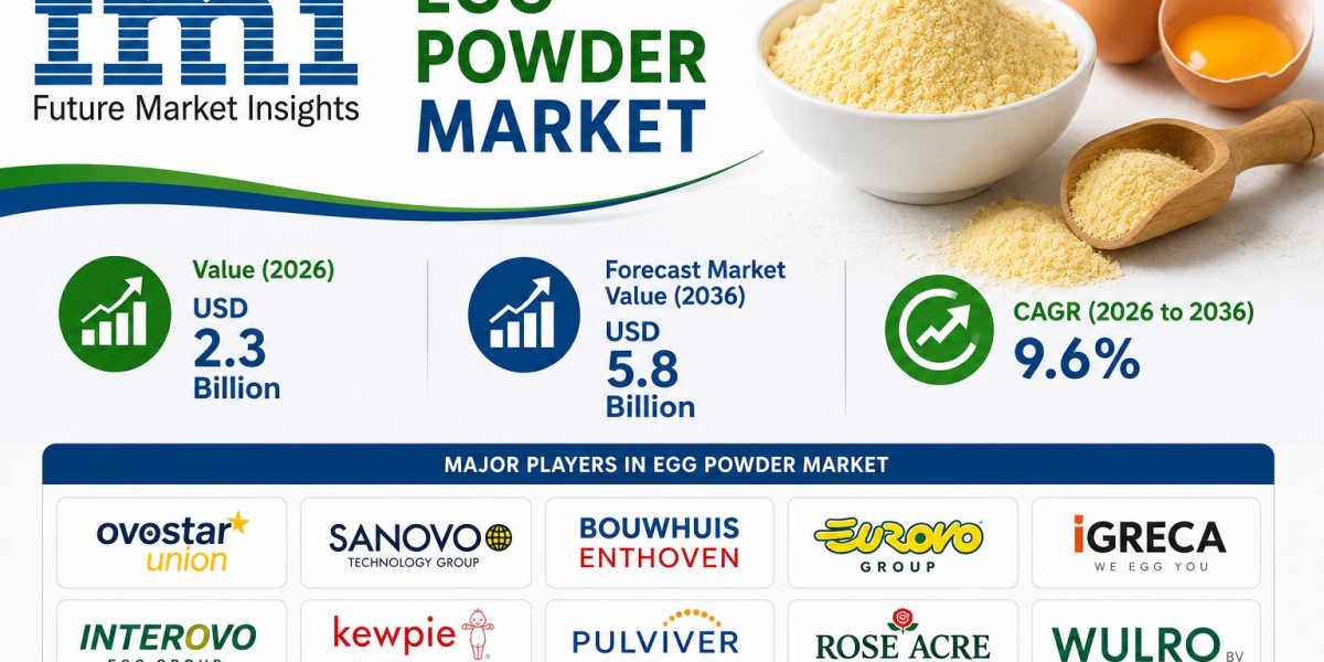 Egg Powder Market Size to Reach USD 5.8 Billion by 2036 Global Food Demand