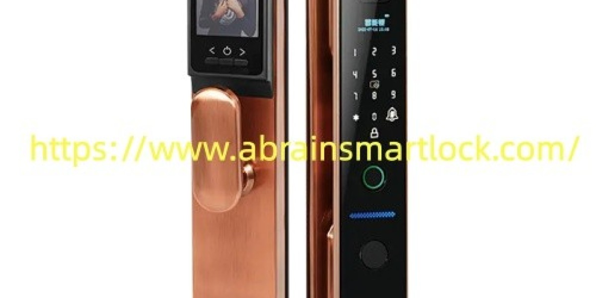 What Key Points Guide Your Choice of Abrainsmartlock Waterproof Fingerprint Lock for Outdoor