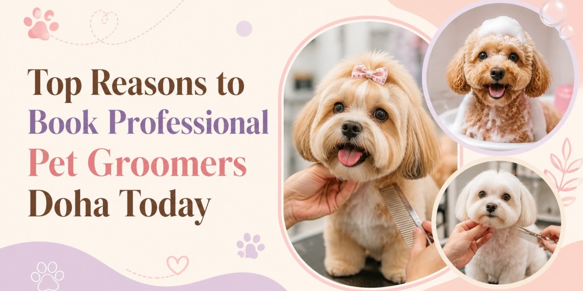 Everything You Need to Know About Pet Grooming Services Qatar
