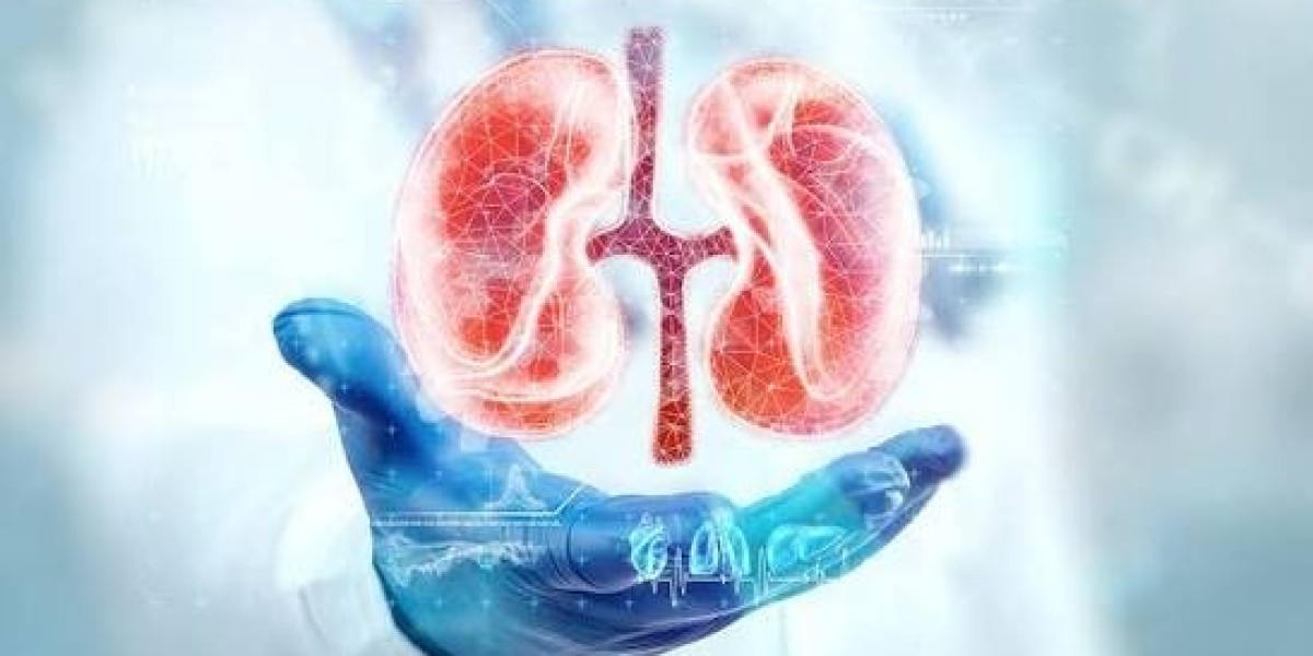 Kidney Specialist in Jaipur: How Early Kidney Care Can Protect Your Health