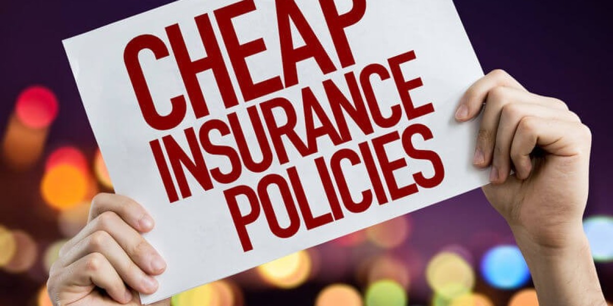 Step by Step Guide: How to Compare Insurance Plans Like a Professional