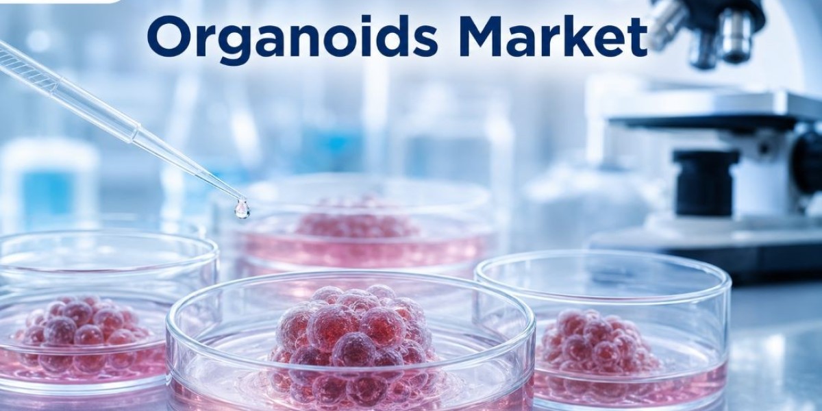 United States Sees 15.3% CAGR, Organoids Market to Reach USD 349.5 Million by 2036