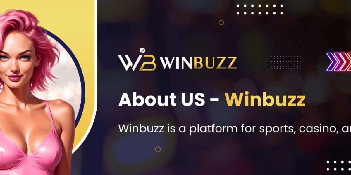 Winbuzz Explained: Everything You Need to Know About Our Platform