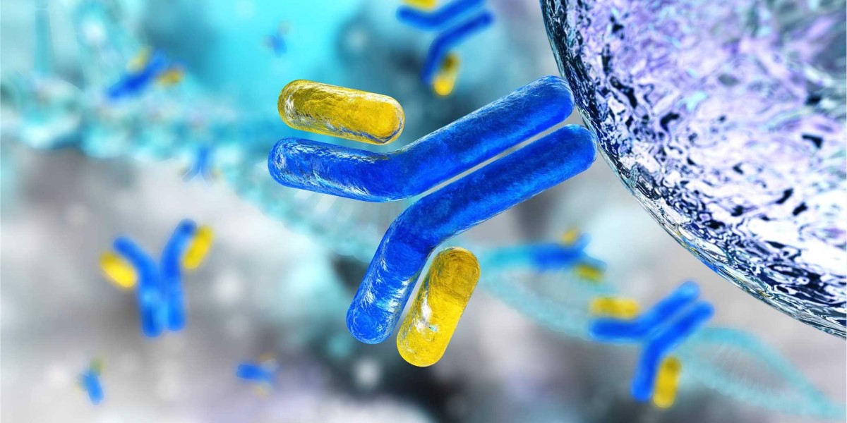 Taming the "Trojan Horse": Preclinical Safety Strategies and Off-Target Risk Mitigation for Solid Tumor ADCs