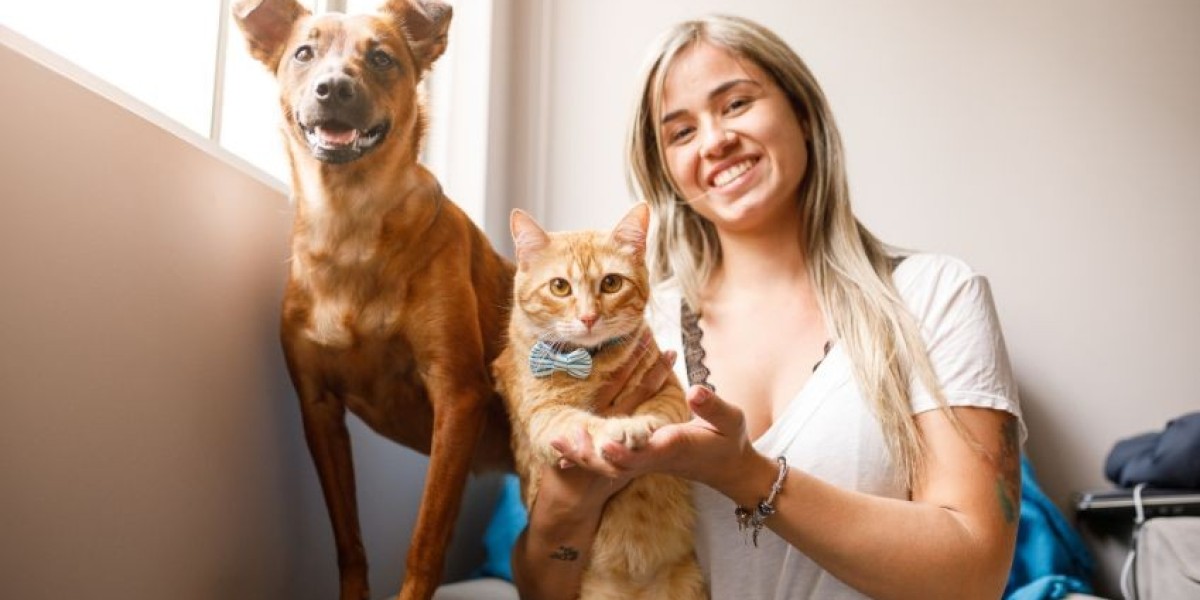 The Growing Demand for Premium Pet Care Products and Services