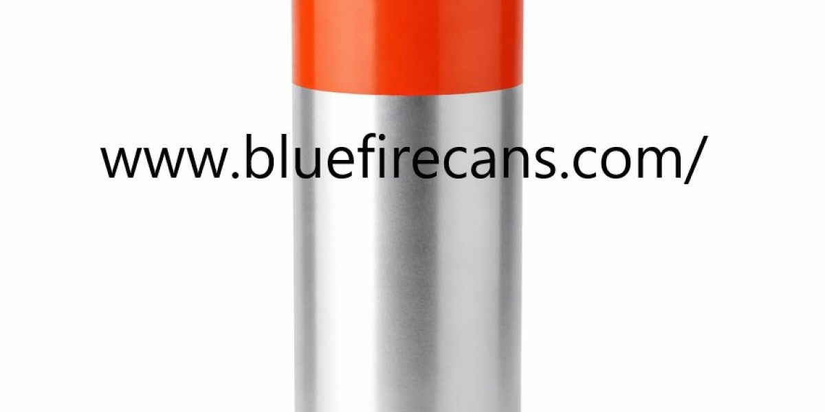 What Should Campers Know About Bluefirecans Camping Gas Cartridge