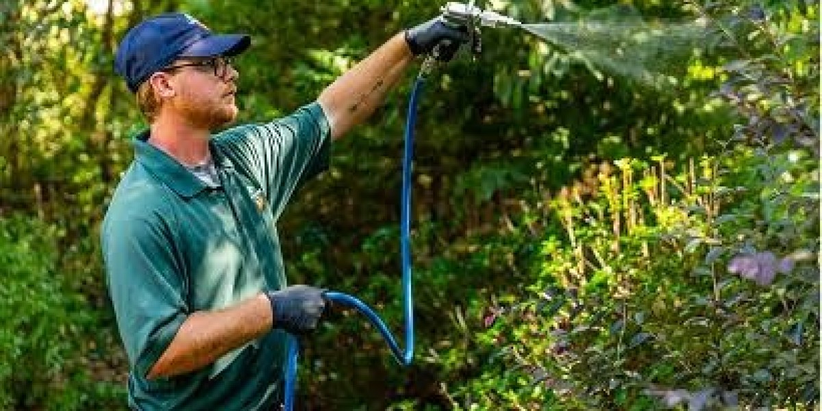 Storm Damage Tree Cleanup: A Complete Guide to Safe and Effective Yard Recovery