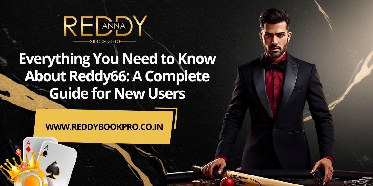 Everything You Need to Know About Reddy66: A Complete Guide for New Users