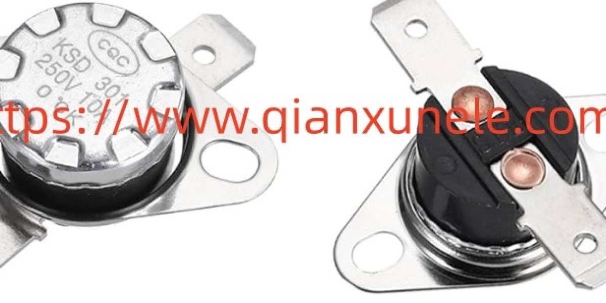 What Makes Qianxunele Anti-Drying Kettle Thermostat Useful for Protection