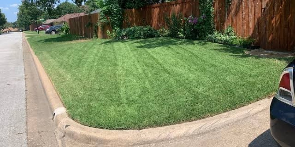 Lawn Care Grapevine TX Dependable Ways to Maintain a Healthy Attractive Yard