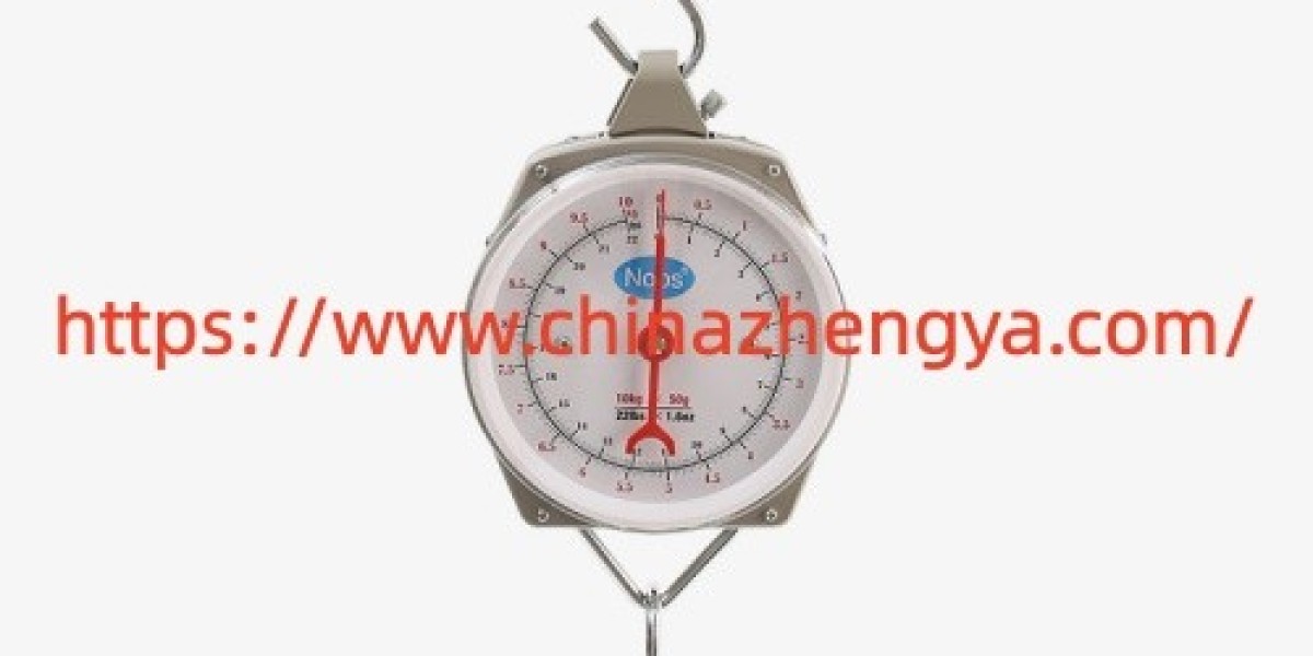 Chinazhengya Digital Spring Scale: What Should Buyers Know Before Ordering