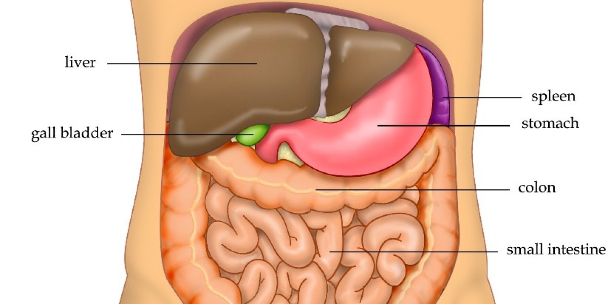 Liver Transplant Surgeon in Delhi: What Patients Should Know