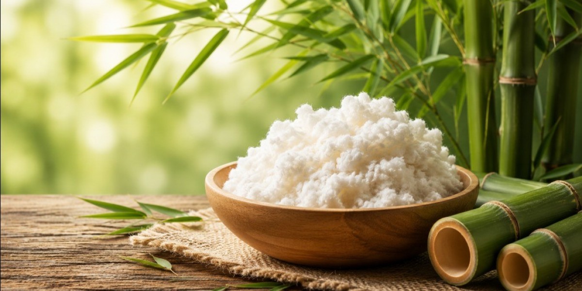 Bamboo Pulp Price Trend Q2 2026 | Price Trends, Forecast, Chart, Prices And Index